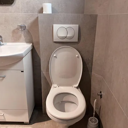 Ana S Lejlighed Vrnjačka Banja